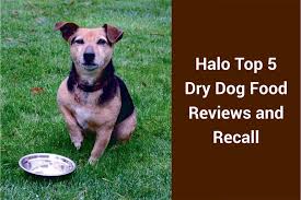 The farmers dog provides balanced and nutritious meals made with wholesome protein of course the cost of the farmers dog meals will depend on your dog's size and how much food they need. Halo Top 5 Dry Dog Food Reviews And Recall Are They A Good Brand 2020