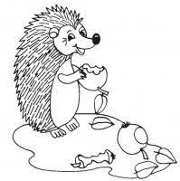 Disegni Da Colorare Degli Animali Del Bosco Animali Da Colorare Disegni Da Colorare Disegni Animali Del Bosco