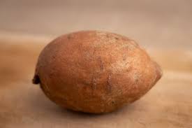 Potato producers have noticed white mold disease in maine since the early 1980s. Can Sweet Potatoes Go Bad Can It Go Bad