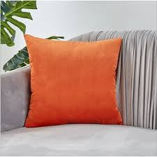 The style of your life. Orange Throw Pillows You Ll Love In 2021 Wayfair