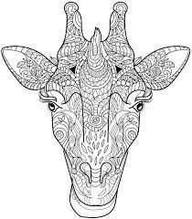 ← сoloring on points for adults↑ coloring pages for adultsthanksgiving coloring pages for adults →. Giraffe Coloring Page Colorpagesforadults Adultcoloringpages Colorpages Giraffe Coloring Pages Mandala Coloring Pages Adult Coloring Animals