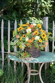 Sonnenblume Eberesche Nelke Goldrute Weizen Brombeere Rose Sonnenhut Zinnie Wildrose Dill Feuerdorn Heft Septe Sommerblumen Eberesche Sonnenblumen
