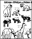 African Animals Coloring Info Pages Allaboutnature Com
