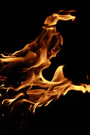 How to clean and dry pine cones for crafts. Flaming Pine Cone 3 Pine Cones Flames Pine