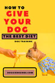How To Give Your Dog The Best Diet Best Diet For Dogs Best Dog Food Dog Food Reviews