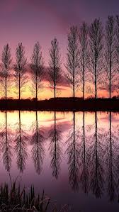 2560x1600 purple sunset wallpapers wallpaper. England Beautiful Nature Landscape Lake Reflection Trees Sunset Dusk Purple 640x1136 Iphone 5 5s 5c Se Wallpaper Background Picture Image