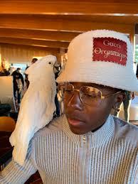 Madison Robins (@madisxn_rxbins)