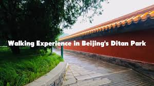 Image result for Ditan