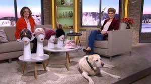 We did not find results for: Wir In Bayern 14 01 2021 Br Fernsehen Fernsehen Br De