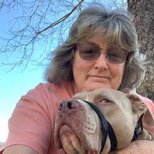 What safety gear is recommended for beagles