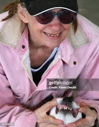 45 Look Alike Pet Contest Stock Photos, High-Res Pictures, and Images