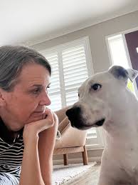 Absolutely heartbroken to announce we had to let our beautiful brave boy  Charlie