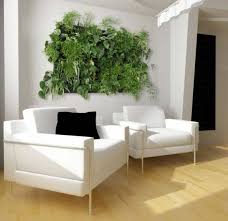 Five plants ideal for an interior green wall. The Plant Walls Perfect For The Modern Interior A Spicy Boy