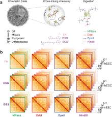 Blue cross blue shield of north carolina. Systematic Evaluation Of Chromosome Conformation Capture Assays Biorxiv