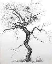Weaver Real Estate Drawing Art Tree Drawing Drawings