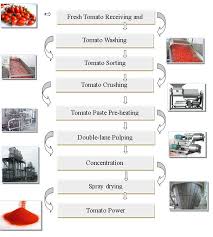 Tomato Powder Production Line Tomato Receiving Machine
