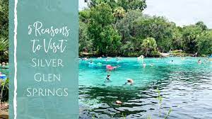 The silver glen spring trail (near salt springs campground) starts at a bubbling spring, winds past palmetto bushes and sand oaks and ends at a point on lake george. Silver Glen Springs 5 Reasons Your Family Should Visit Jacksonville Beach Moms