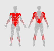 Push Up Massacre Workout