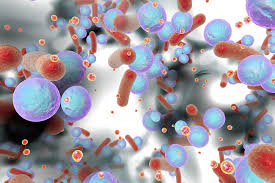 May 26, 2020 · 1 / 18. Immune System Found To Protect Against Mrsa Infections