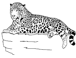 Jaguar Coloring Pages Best Coloring Pages For Kids