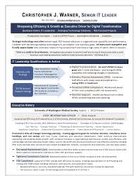sample cio resume from executive resume