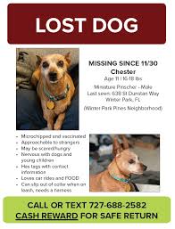 In november of 2016, brittanie left her pup, bear, in what she thought would be a good home and departed florida's atlantic coast. Report Lost Or Found Pet In Winter Park Winter Park Lost Pets