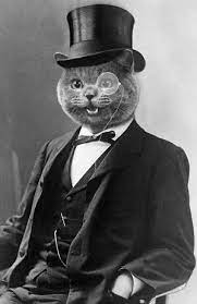 Rosetta Stone Japanese Is It Worth It Cat Art Cat Portraits Anthropomorphic Cat