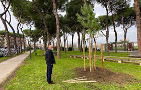 Corte d'appello, tribunale ordinario, tribunale per i minorenni, sezione distaccata (ex) e giudice di pace. Etj6nm4syw9sbm