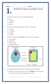 There is a great variety and plants and animals found on earth. The Plant And Animal Cells Interactive Worksheet
