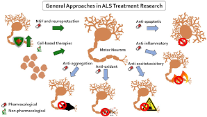 Amyotroph lateral scleros other motor neuron disord. Ijms Free Full Text Risk Factors And Emerging Therapies In Amyotrophic Lateral Sclerosis Html