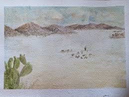 Marco Coca (@cocakins) • Instagram photos and videos