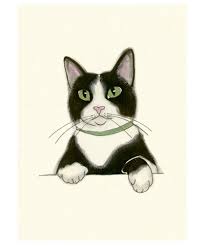 Tuxedo Cat Art Print Velvet Paws 4 X 6 Print 4 For 3 Sale Cats Illustration Cat Art Print Tuxedo Cat Art Mark borders of the picture. tuxedo cat art print velvet paws 4 x 6 print 4 for 3 sale cats illustration cat art print tuxedo cat art