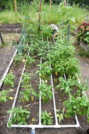 Diy Drip Irrigation System For Raised Garden Beds Drip Irrigation Diy Raised Garden Beds Irrigation Watering Raised Garden Beds