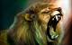 Lock Screen Lion Wallpaper Hd