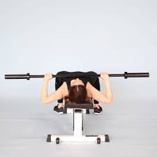 Maybe you would like to learn more about one of these? Average Bench Press For Men And Women By Weight And Fitness Level