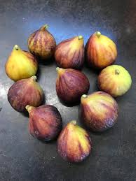 Buah tin masui dauphine (md) atau masui dauphine fig merupakan jenis buah tin yang banyak dibudidayakan di negara jepang. Dauphine French Fig Farm
