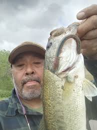 STOCKING NEW Wild Aquarium Fish in my BACKYARD POND!