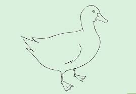 Bagi yang memiliki jiwa seni menggambar, tentu permintaan tersebut sangatlah mudah untuk dilakukan. Sketsa Bebek Dan Cara Menggambarnya Mudah Banget