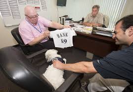 Breaking Hank The Brewers Ballparkpup Added To Roster Set To Travel To Mke Sunday Click For More Milwaukee Wisconsin Hank