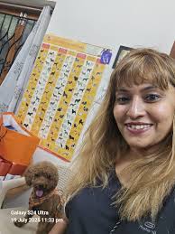 dog waiting for treats near empty container