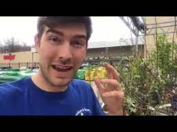 This includes the following items: Do S And Don Ts When Buying Fruit Trees From Big Box Stores Youtube