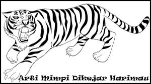 Gambar wortel hitam putih manfaat khasiats gambar wortel hitam putih posted 26 may 2019 2 14 berikut ini beberapa hitam putih dan informasi yang membahas mengenai gambar wortel serta artikel. 15 Arti Mimpi Dikejar Harimau Menurut Primbon Dan Psikolog