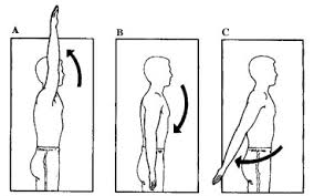 Flexion vs extension of arm. 3320q3 New Record
