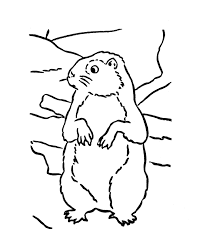 And you can freely use images for your personal blog! Groundhog Colouring Page Coloring Home