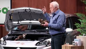 Im idealfall sollte es dem marder erst gar nicht möglich sein in ihr haus einzudringen, hierfür ist es nötig soweit es eben geht alle zugänge zu verschließen und. Klaus Skottki Gomago Marderschutz Fur Auto Und Haus Hohle Der Lowen