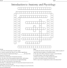 Introduction to frontal bone anatomy: Anatomy Crossword Anatomy Drawing Diagram