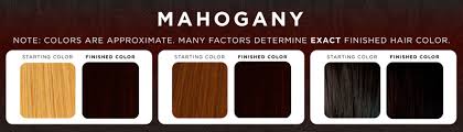 Mahogany Red Hair Color Chart Red Hair Colors 2016 2017