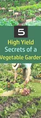 Love Growing Your Own Vegetables These 5 High Yield Vegetable Garden Secrets Wil Vegetable Garden For Beginners Fall Garden Vegetables Gardening For Beginners