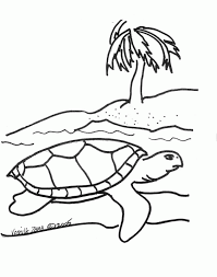 Jun 13, 2015 · sea turtle coloring pages printable sea turtle coloring pages some of the images feature detailed backgrounds with underwater plants, pebbles, and other aquatic animals like squids and fishes that would certainly double your child's interest in coloring them. Sea Turtle Coloring Page Coloring Home