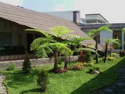 Serasa memasuki rumah kerajaan saat melalui rumah dengan desain pagar rumah minimalis 2020 ini. Berpesta Kebun Di Belakang Rumah Jasa Desain Gambar Rumah Minimalis Online Murah Harga Terjangkau
